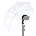 Synco COLBOR MAR light mount adapter attached to an umbrella for photography lighting setup