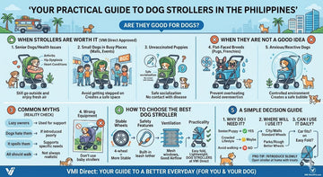 Are Dog Strollers Good for Dogs? (A Practical Guide for Filipino Pet Owners)