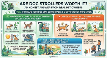 Are Dog Strollers Worth It? Honest Answer from Real Pet Owners