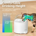 AI water fountain designed for comfortable drinking height and reduced neck strain for pets