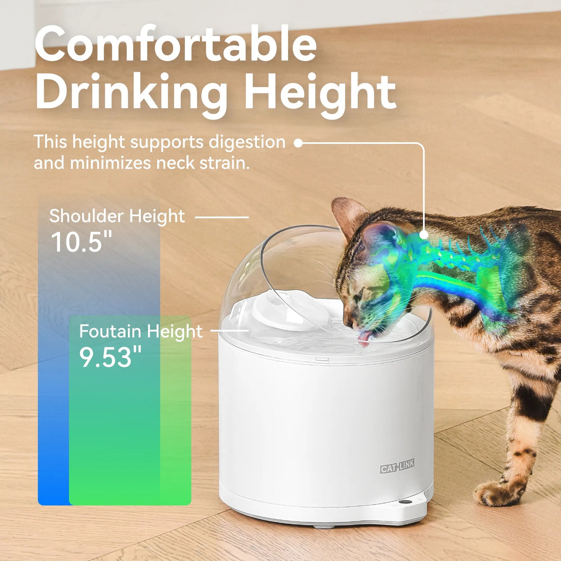 AI water fountain designed for comfortable drinking height and reduced neck strain for pets