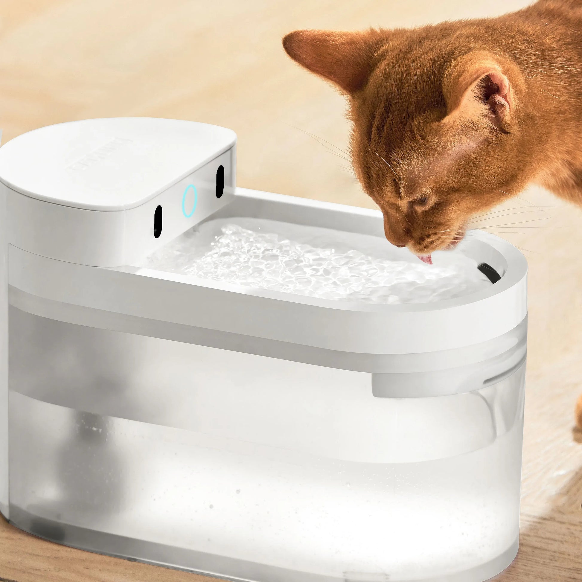 Cat drinking from VMIDirect AI Wireless Water Fountain for fresh, running water access