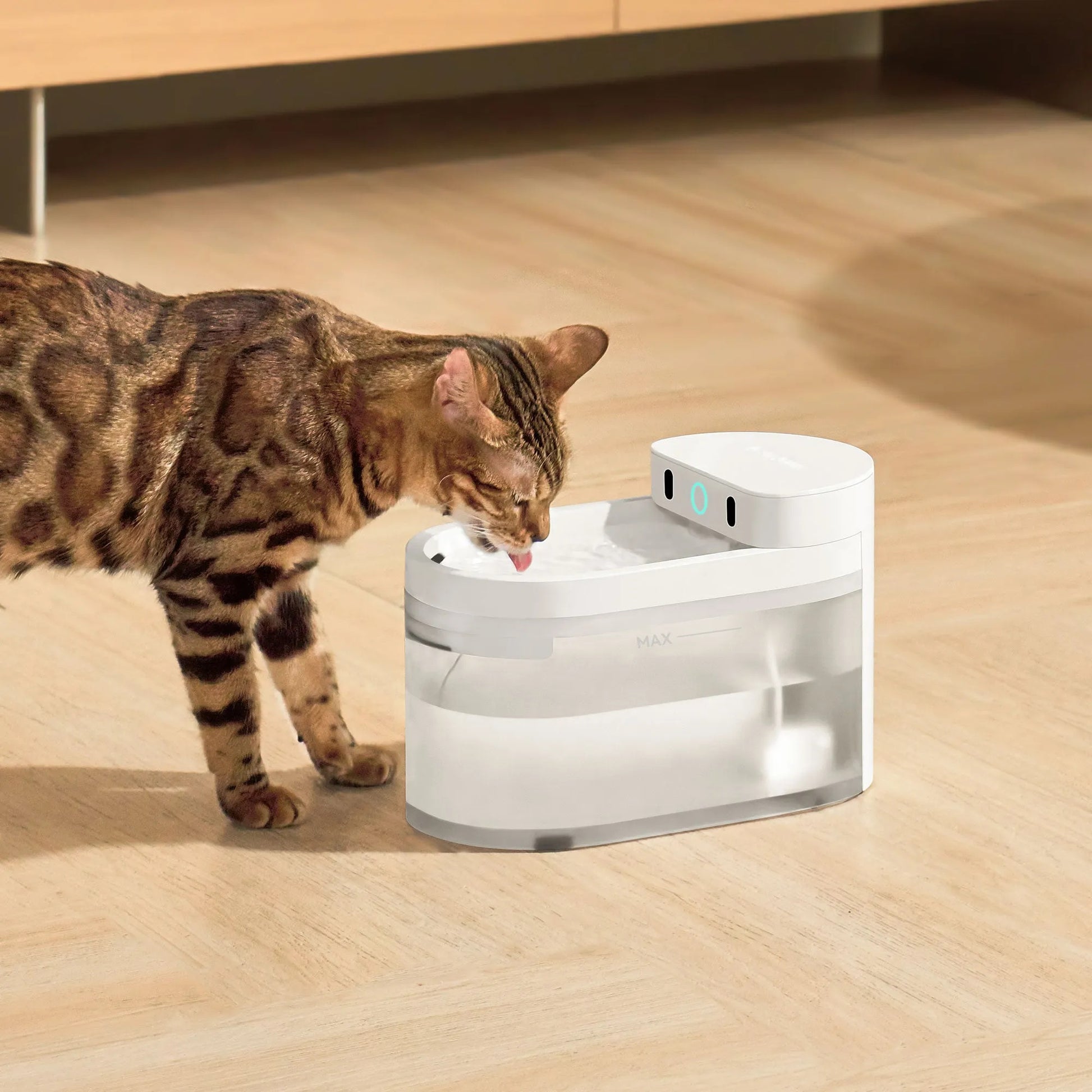 Bengal cat drinking from the AI Wireless Water Fountain for pets, promoting hydration and health