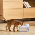 Cat drinking from the AI Wireless Water Fountain designed for pet hydration and convenience