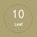 VMIDirect 10 Leaf Background Paper for Creative Photography and Background Props