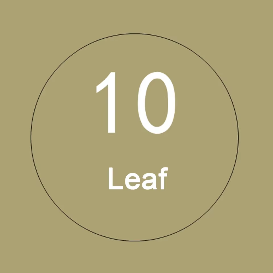 VMIDirect 10 Leaf Background Paper for Creative Photography and Background Props