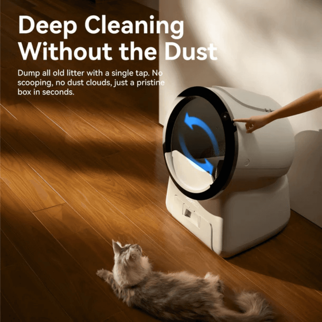 Automatic cat box litter for easy deep cleaning without dust or scooping