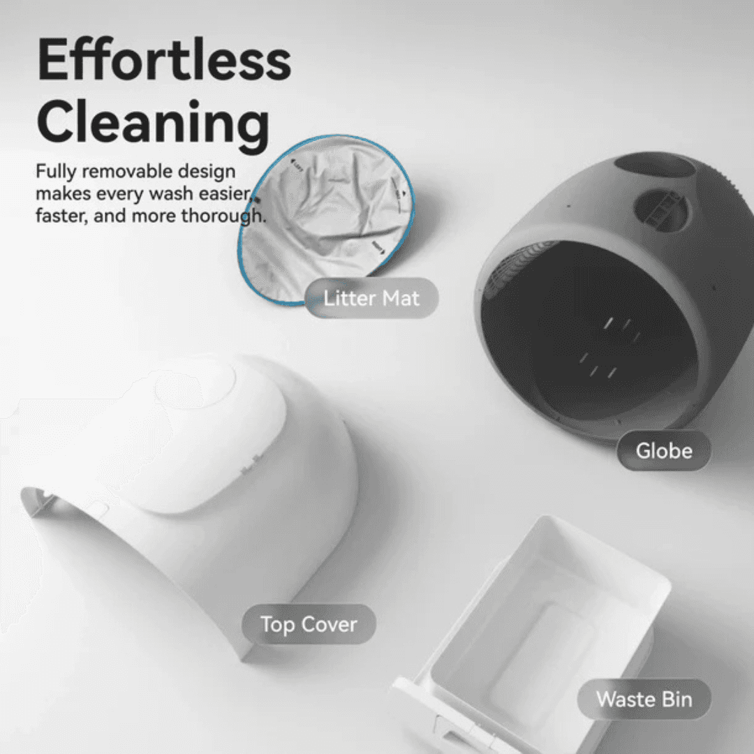Automatic cat box litter with removable design for easy cleaning and maintenance