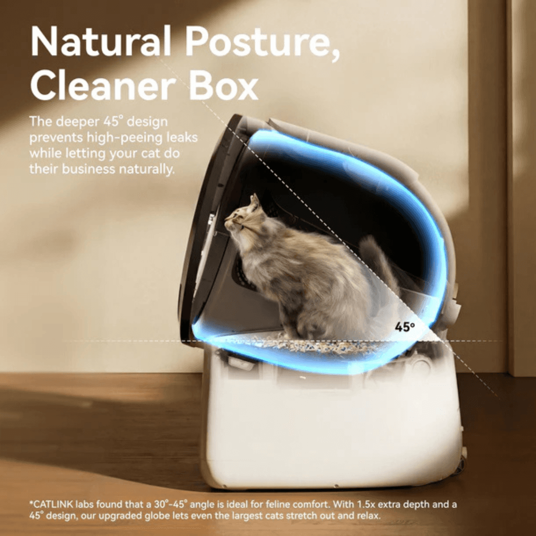 Automatic cat box litter with a 45-degree design for natural feline comfort and hygiene