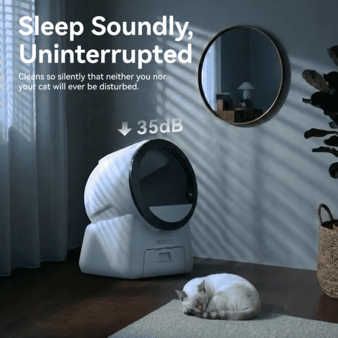 Automatic cat box litter with quiet operation, ensuring undisturbed sleep for pets and owners