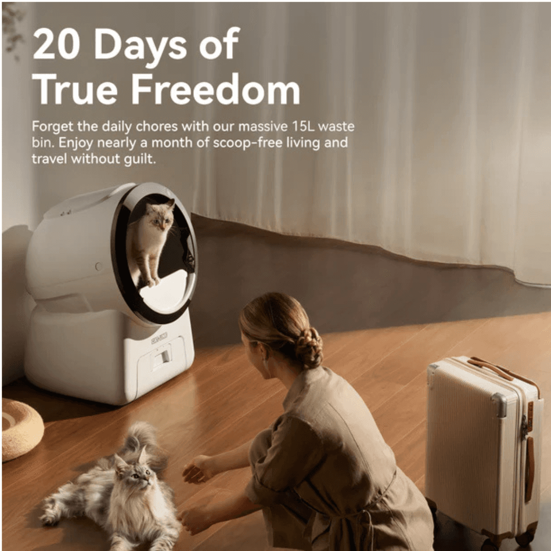 Automatic cat box litter with large waste bin for hassle-free cat care and easy travel