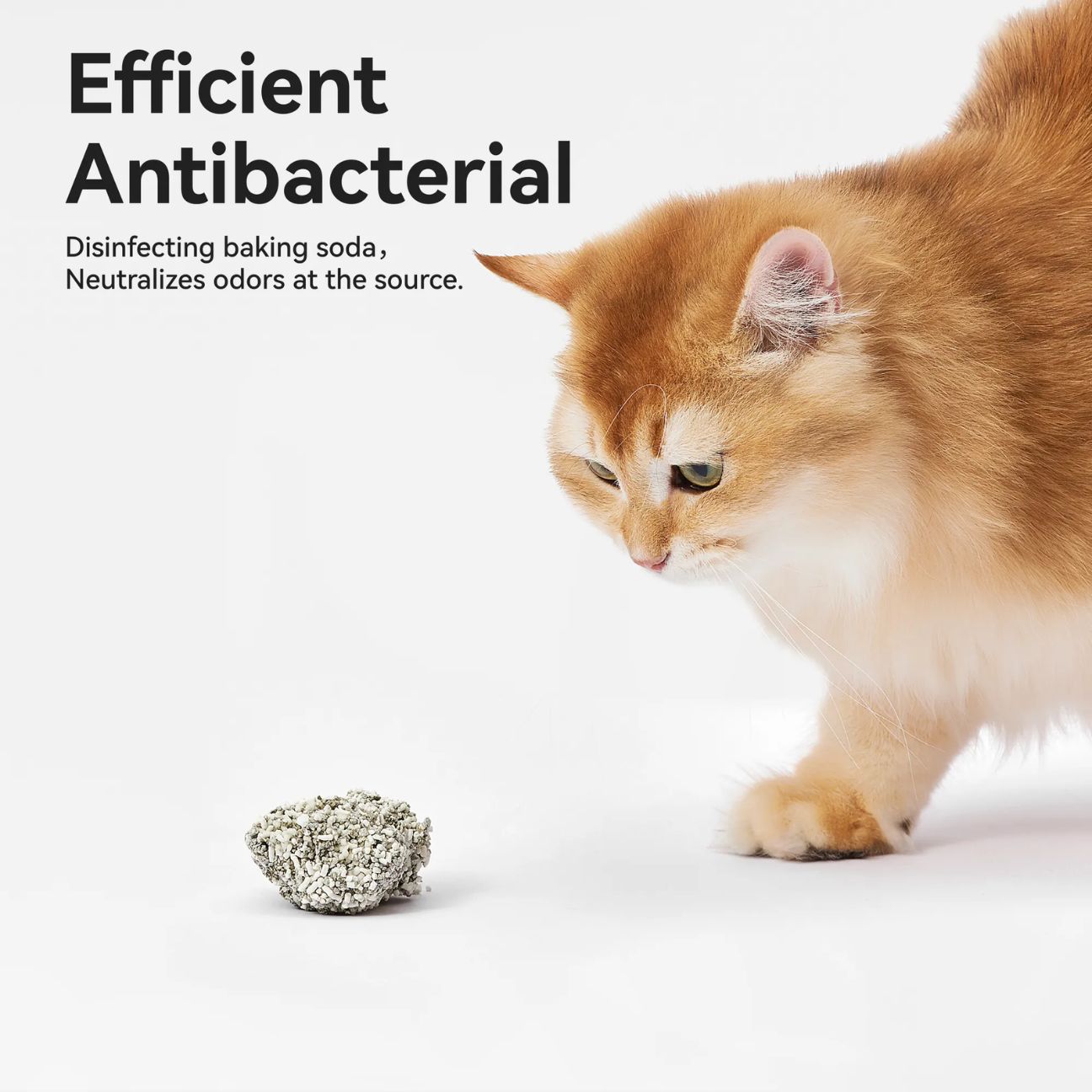 VMI Direct Cassava Mixed Cat Litter with antibacterial properties for effective odor control