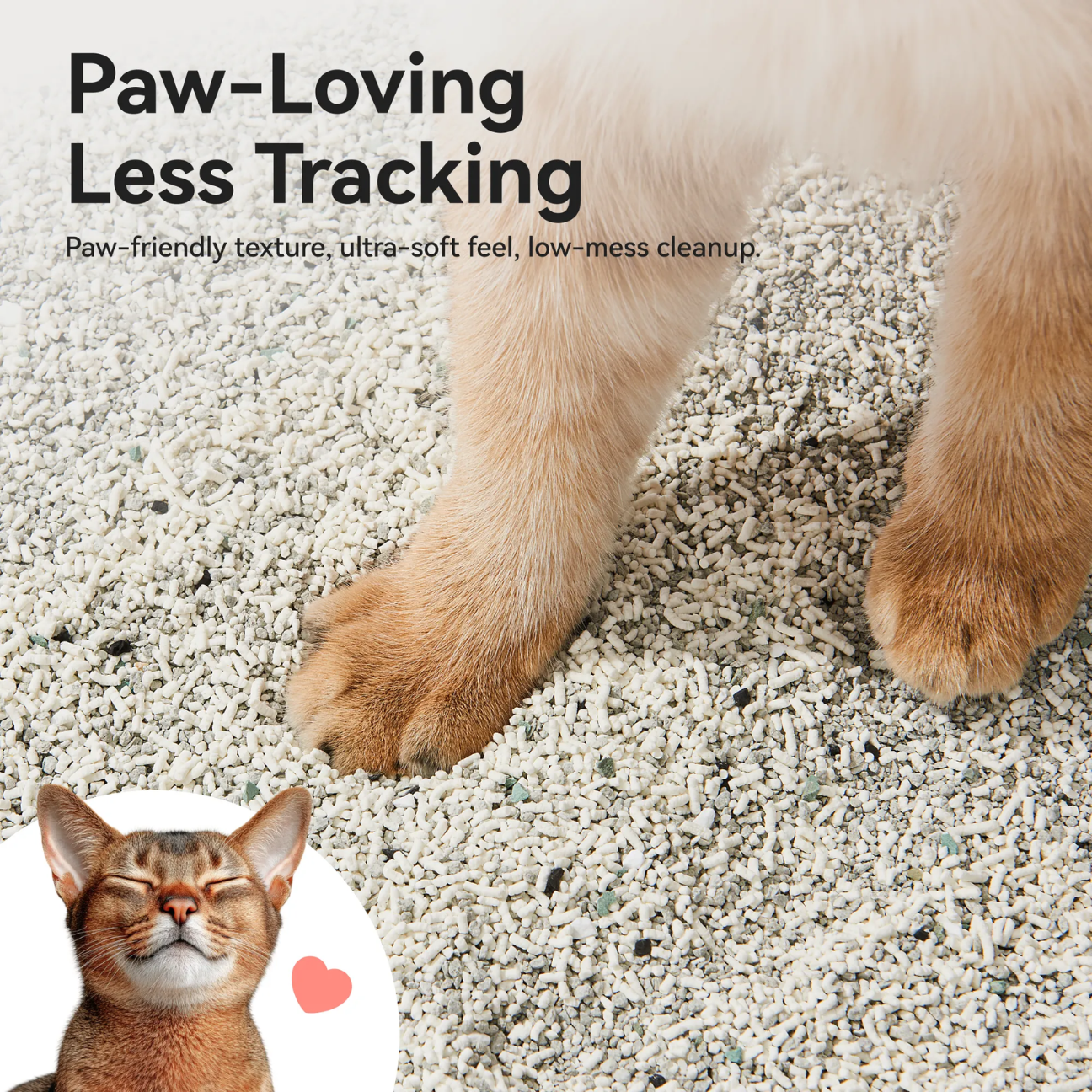 Cassava Mixed Cat Litter with paw-friendly texture for ultra-soft feel and low-mess cleanup