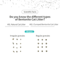 Mars Premium cat litter in natural and clumped forms for effective odor control and absorbency