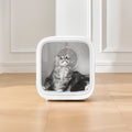 VMIDirect pet dryer cabinet with a fluffy cat inside, designed for drying and grooming pets comfortably