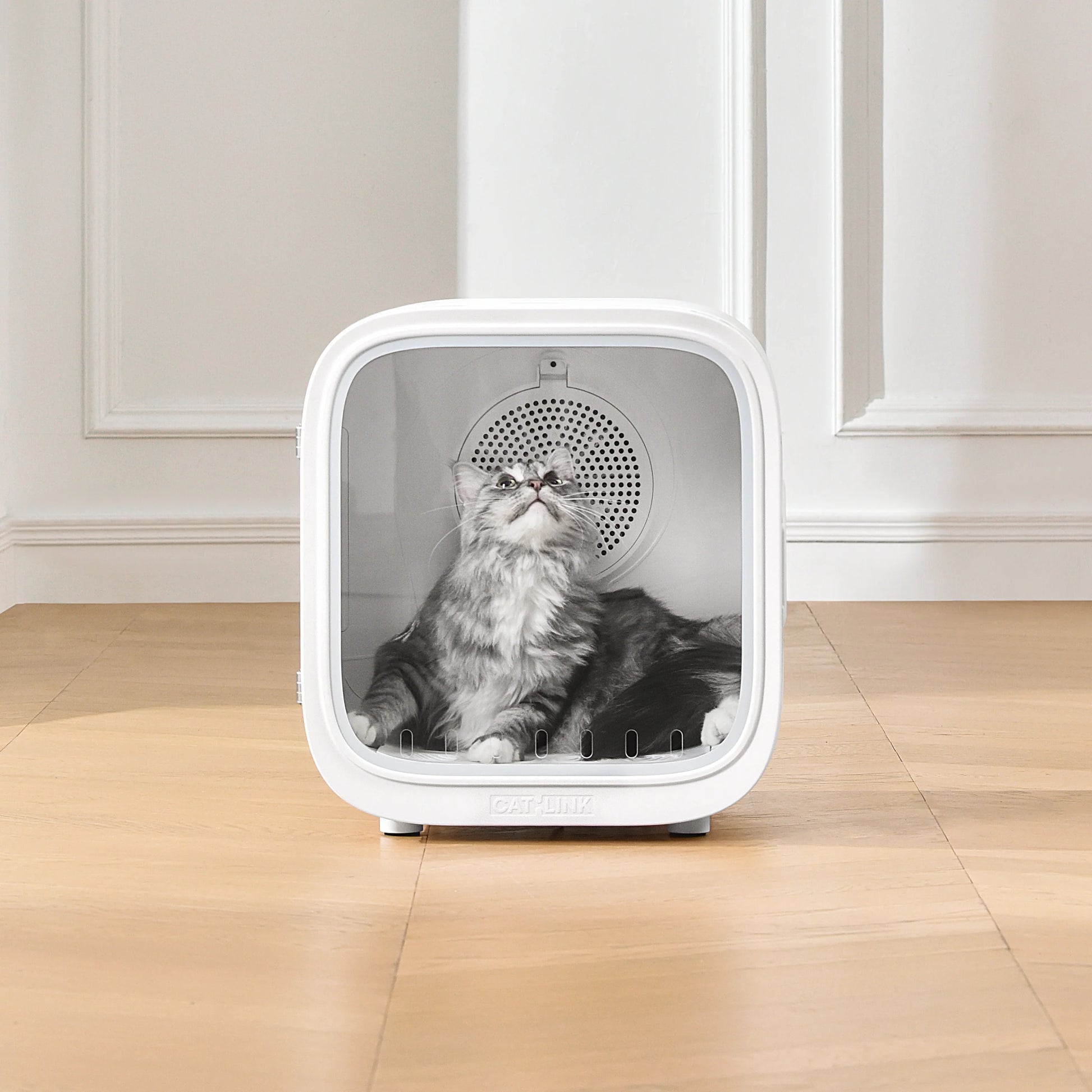 VMIDirect pet dryer cabinet with a fluffy cat inside, designed for drying and grooming pets comfortably