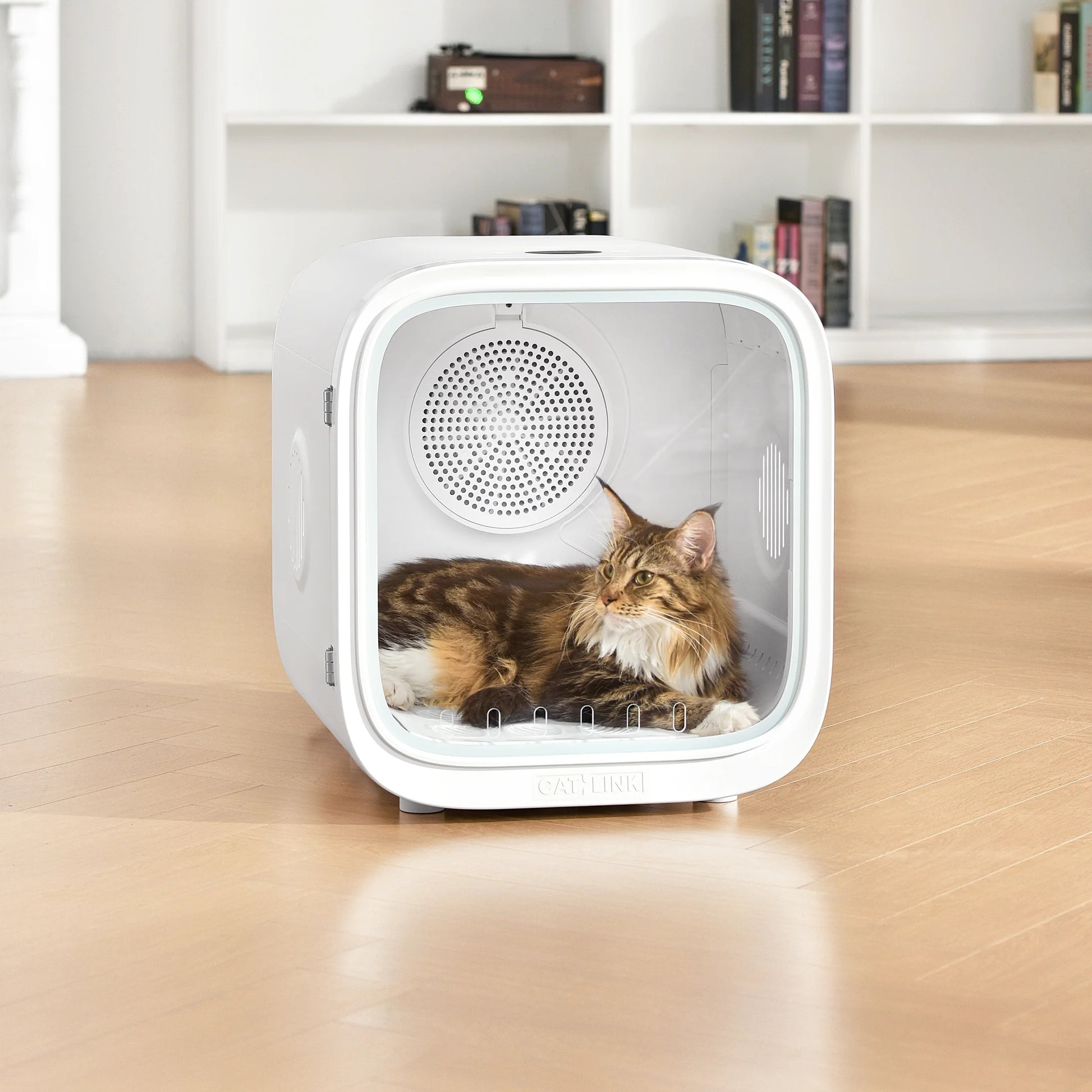 VMIDirect pet dryer for cats, providing a cozy drying space with advanced airflow system