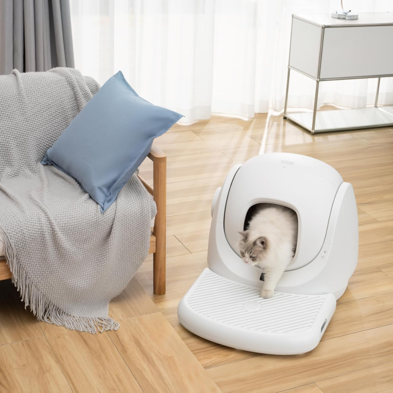 CATLINK Ramp 2 Litter Box designed for easy access, with a cat entering the modern litter solution