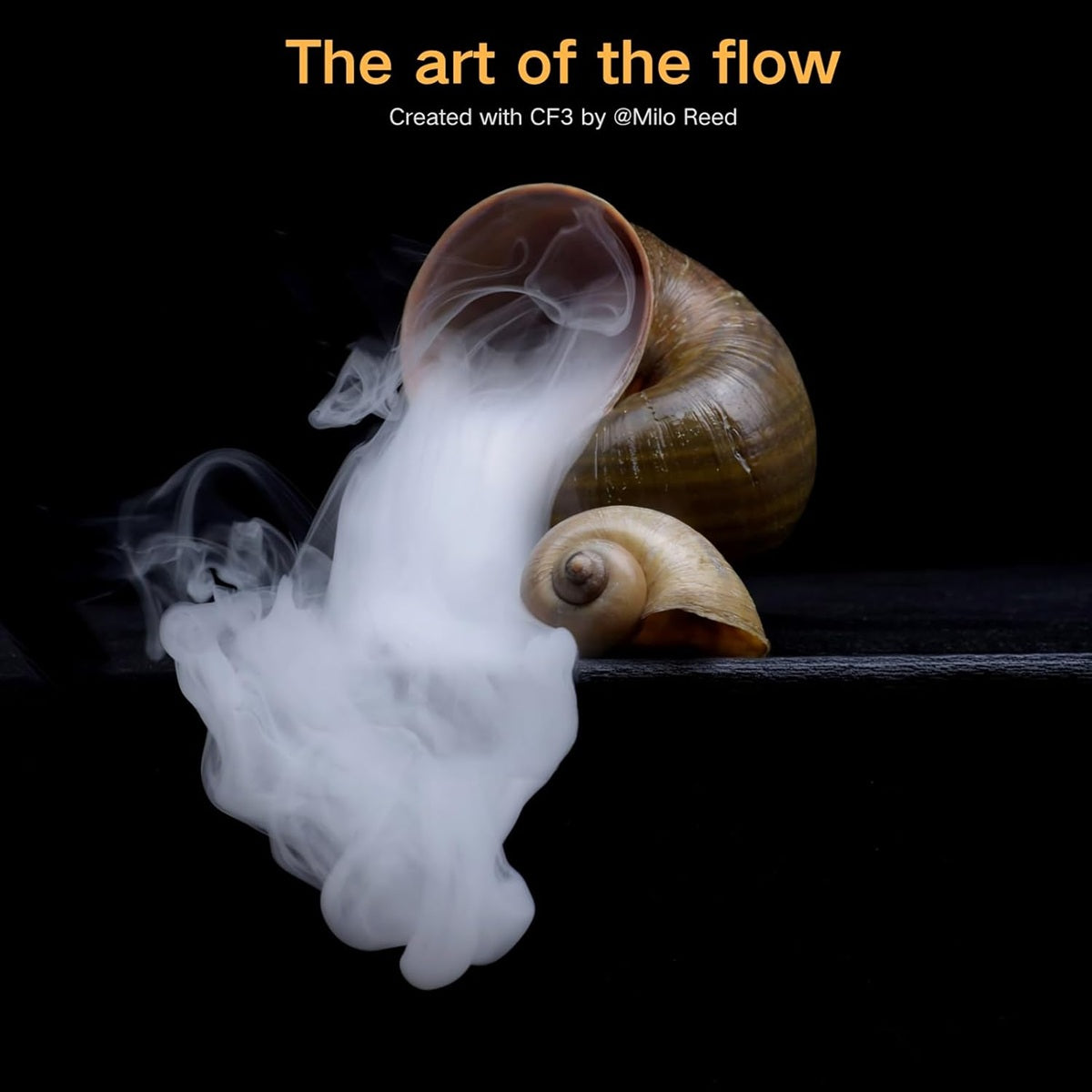 Fog machine smoke machine creating a captivating flowing mist from a snail shell