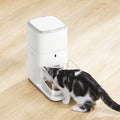 Cat using the fresh 2 automatic feeder by VMIDirect for scheduled feeding