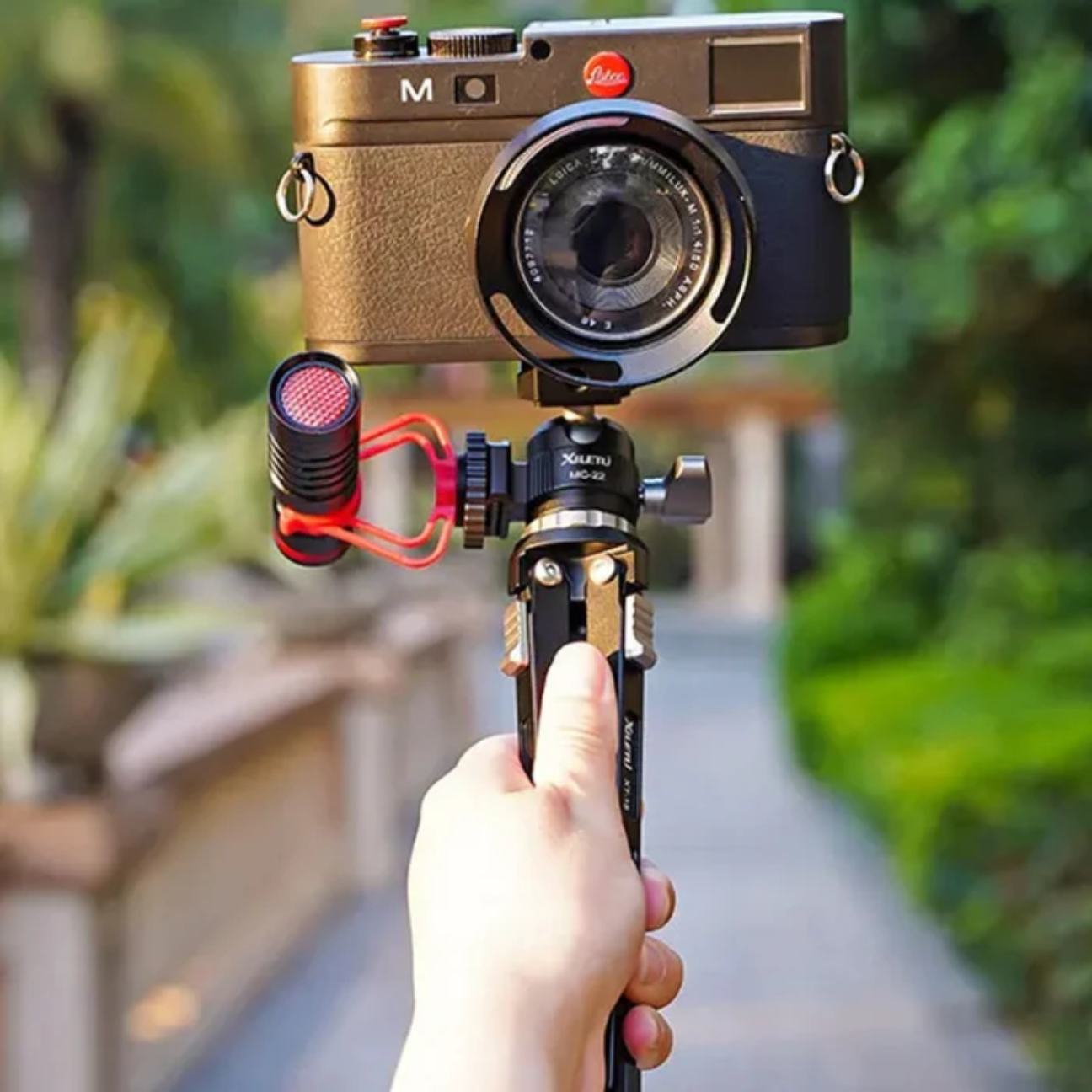 Handheld camera mounted on a GXCT MC-22 tripod ball head for camera in a lush outdoor setting