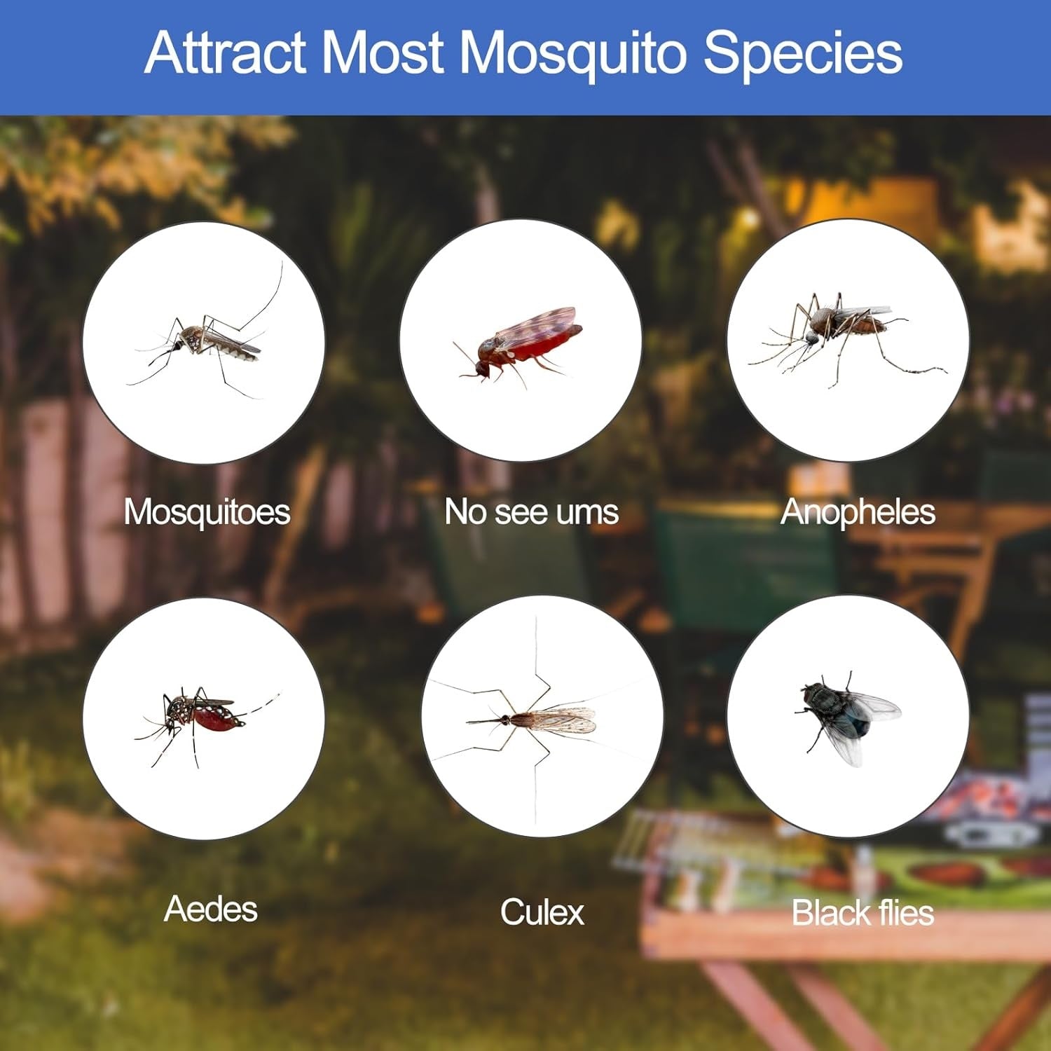 Insect swatter with octenol mosquito attractant to effectively attract most mosquito species