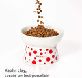 Ceramic Feeding Bowl by VMIDirect with a stylish polka dot design and durable porcelain for pets