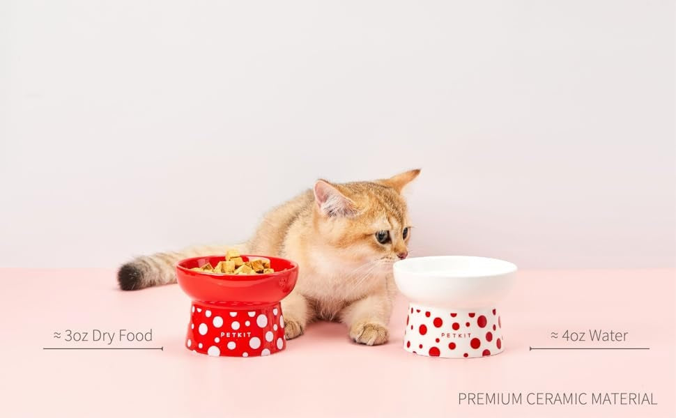 Cat with VMIDirect Ceramic Feeding Bowl in red for dry food and white for water