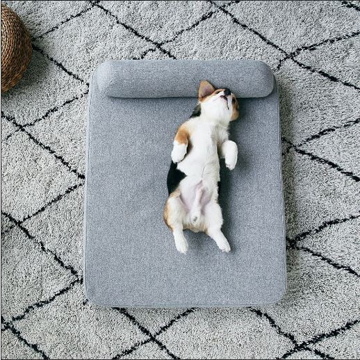 Comfortable Deep Sleep Pet Mattress for dogs with a stylish design and cozy support