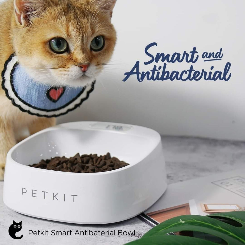 Petkit Dog Cat Smart Weighing Feeding Bow with Antibacterial Features and Modern Design
