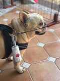 Dog wearing a harness with a white Dog Waste Bag Dispenser attached for convenience during walks