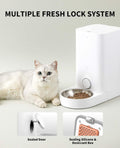 Petkit Fresh Element Smart mini Pet feeder with multiple fresh lock system and sealed door shown next to a white cat