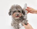 VMIDirect Pet Trimmer Clippers gently grooming a small dog with a fluffy coat