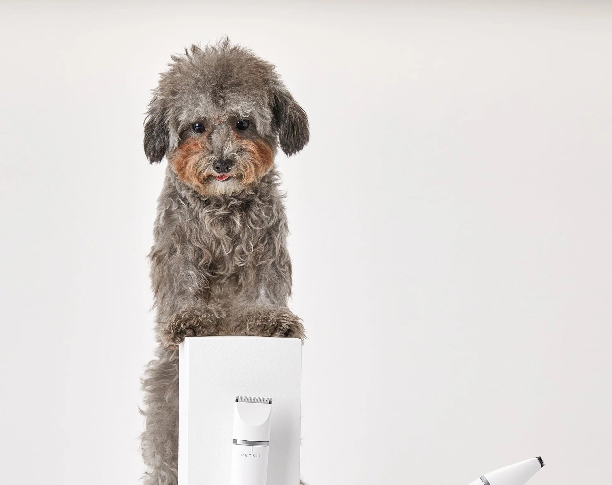 VMIDirect Pet Trimmer Clippers with a playful dog for easy pet grooming at home