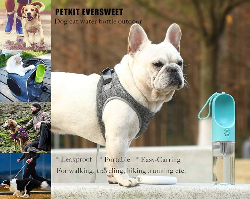 VMIDirect Pet Water Bottle Portable Dispenser for dogs and cats, ideal for outdoor adventures and travel