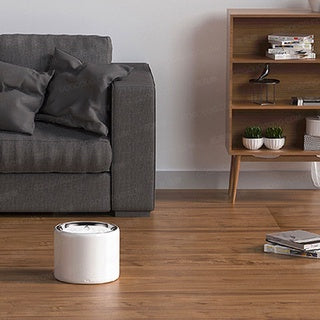 Stainless Steel Pet Water Fountain on wooden floor next to a gray sofa and bookshelf