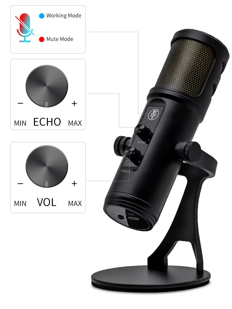 Plug and Play Recording Microphone with Echo and Volume Controls for Easy Use