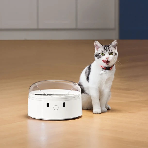 Cat wearing an RFID pet collar next to a modern cat feeder designed for easy feeding