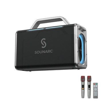 VMIDirect Portable Karaoke Speaker with dual microphones and remote for easy music control