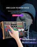 VMIDirect Portable Live Sound Card Audio Mixer with autonomous recognition and voice avoidance features