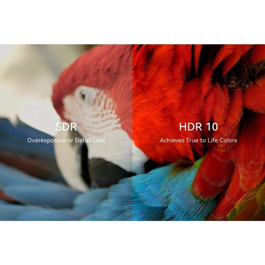Comparison of SDR and HDR 10 images showcasing vibrant colors for the Smart Home Theater Projector