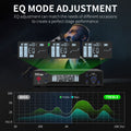 XTUGA XM200 true diversity mic system with EQ adjustment for optimized stage performance