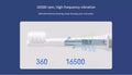 VMIDirect Adult Automatic Tooth Brush with 16500 rpm high frequency vibration for deep oral cleaning