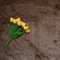 Faux Fur Makeup Prop Mat with a Brown Texture featuring a Bouquet of Yellow Tulips