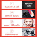 VMIDirect Wireless Earbuds with Bluetooth 5.0, 2200mAh Battery and IPX5 Waterproof Rating