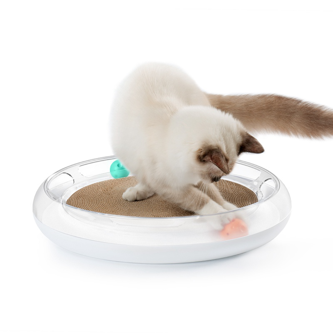VMIDirect interactive cat scratch pad with circular design and colorful balls entertaining a cat