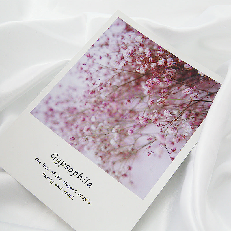 VMIDirect Gypsophila Magazine Card Decoration with Floral Design for Stylish Decor