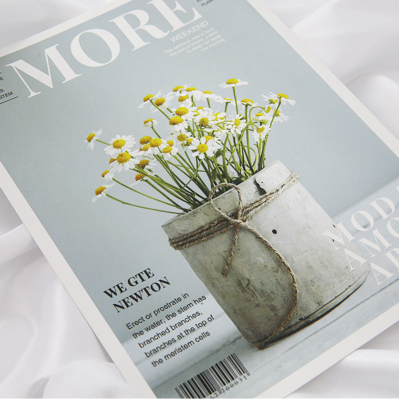 Elegant magazine cover featuring a decorative flower pot, ideal for Magazines Card Decoration