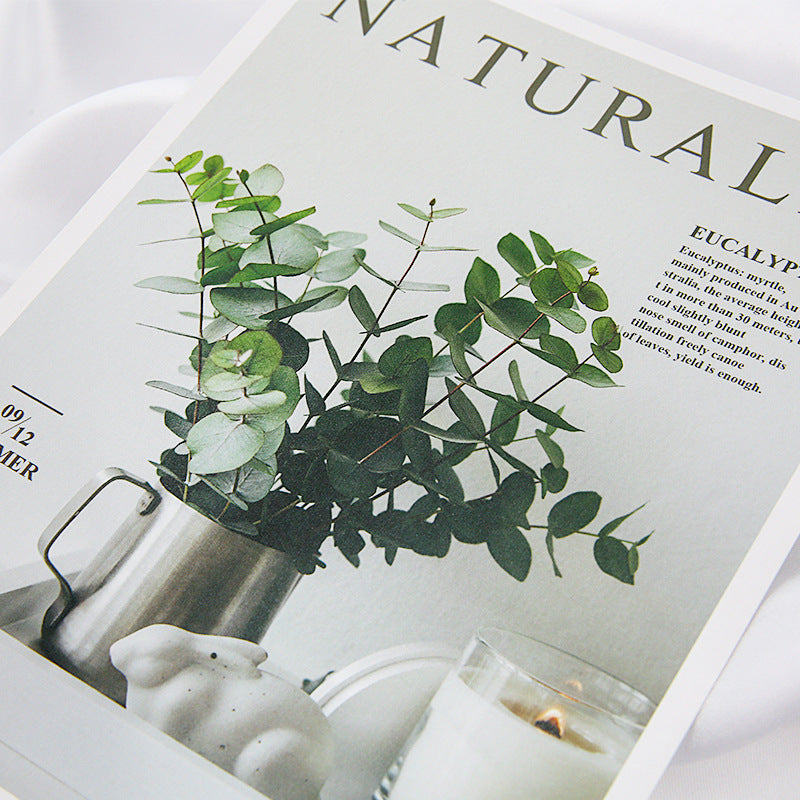 VMIDirect Magazines Card Decoration featuring a stylish design with eucalyptus and candle