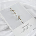 VMIDirect Magazines Card Decoration with a minimalist design featuring a cotton branch on a white background
